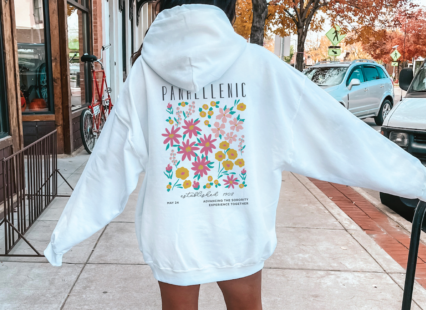 NPC Oversized Shirt, Groovy Sorority Sweatshirt , National Panhellenic Conference Hoodie, NPC shirt