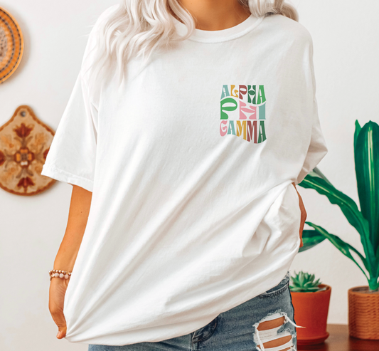 Alpha Phi Gamma Oversized Shirt, Groovy Sorority Sweatshirt , Alpha Phi Gamma Hoodie