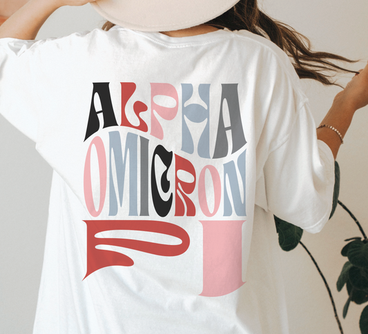 Alpha Omicron Pi Oversized Shirt, Groovy Sorority Sweatshirt , Alpha Omicron Pi Hoodie, AO PI, AOII