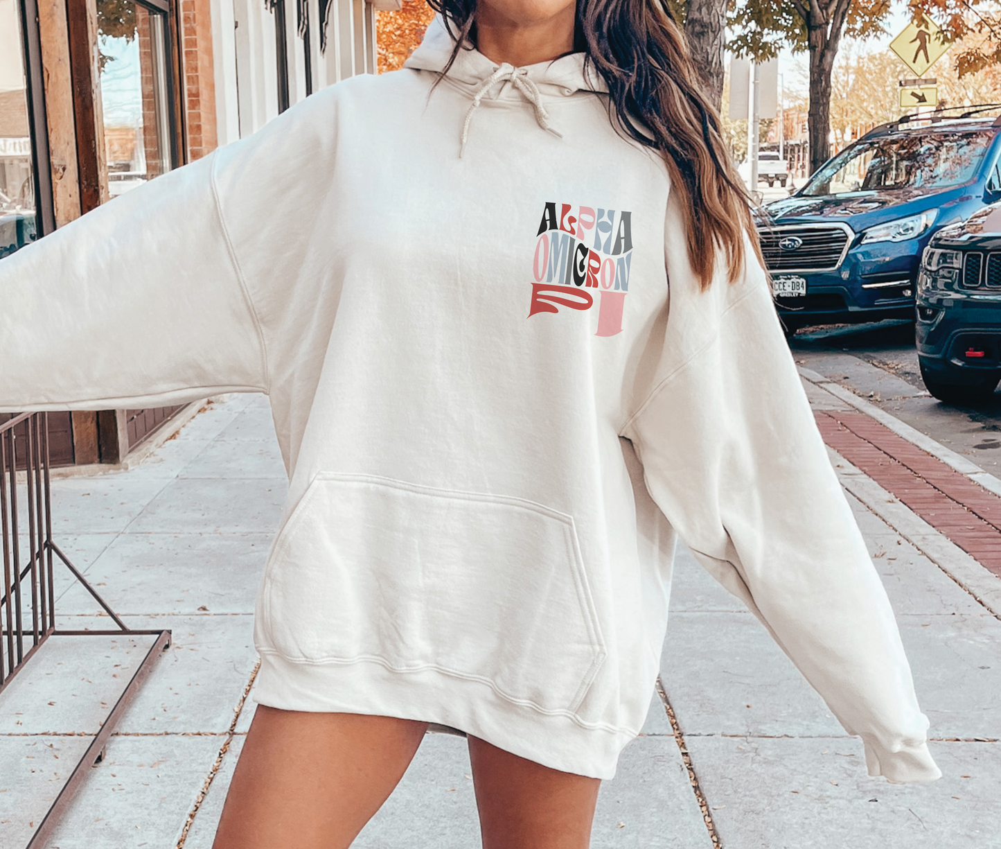 Alpha Omicron Pi Oversized Shirt, Groovy Sorority Sweatshirt , Alpha Omicron Pi Hoodie, AO PI, AOII