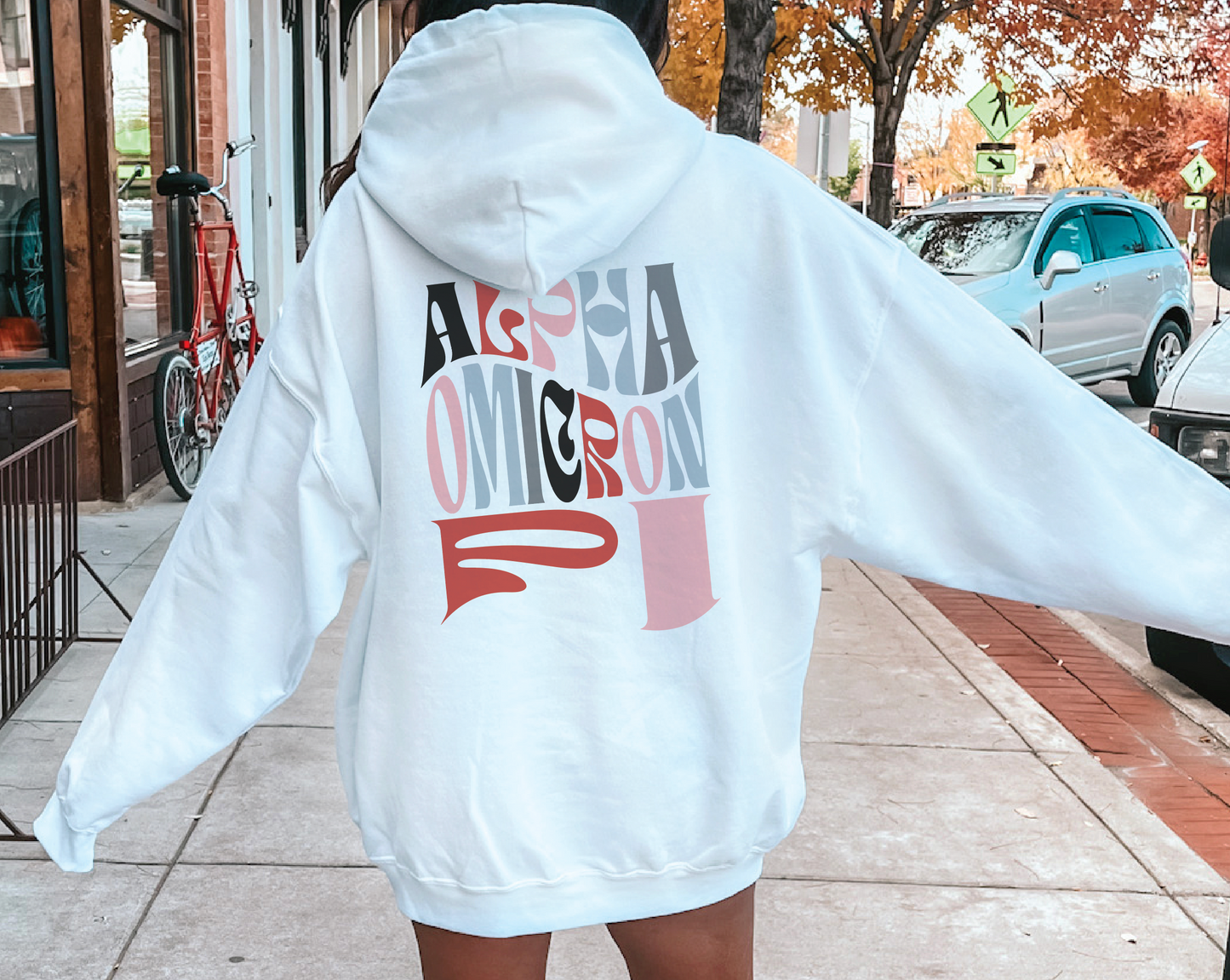 Alpha Omicron Pi Oversized Shirt, Groovy Sorority Sweatshirt , Alpha Omicron Pi Hoodie, AO PI, AOII