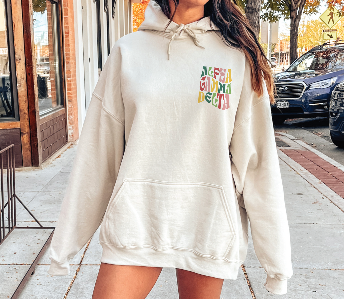 Alpha Gamma Delta Oversized Shirt, Groovy Sorority Sweatshirt , Alpha Gamma Delta Hoodie, AGD, Alpha Gam Shirt