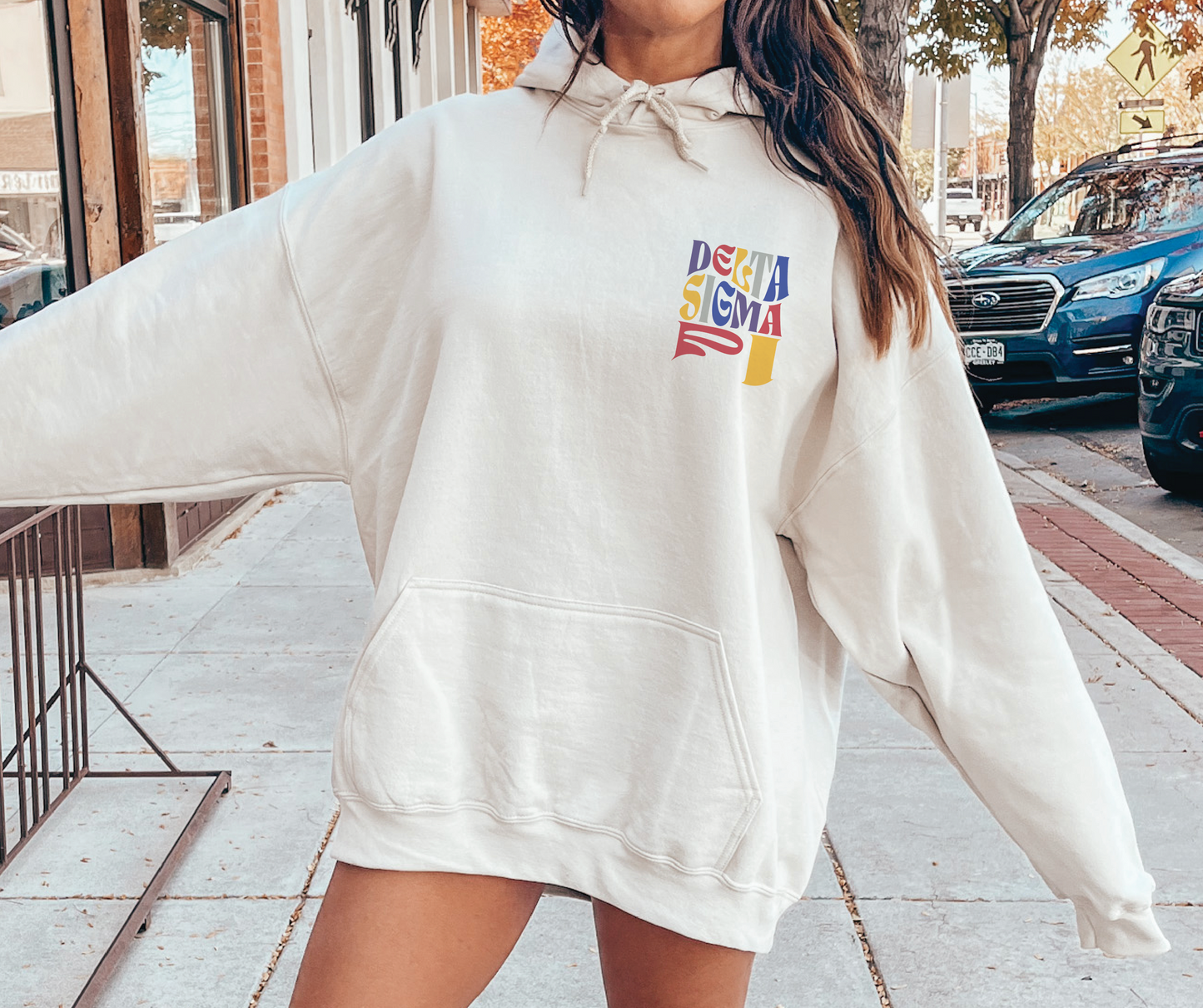 Delta Sigma Pi Oversized Shirt, Groovy Sorority Sweatshirt , Delta Sigma Pi Hoodie, Delta Sig Sorority, Delta Sigma Pi Sorority Shirt